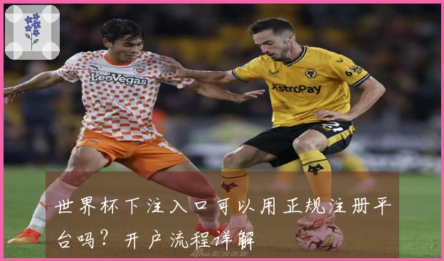 世界杯下注入口可以用正规注册平台吗？开户流程详解