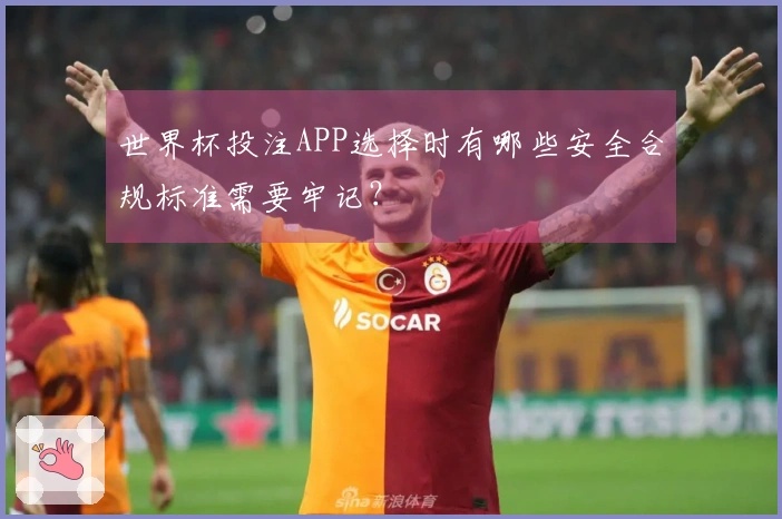 世界杯投注APP选择时有哪些安全合规标准需要牢记？