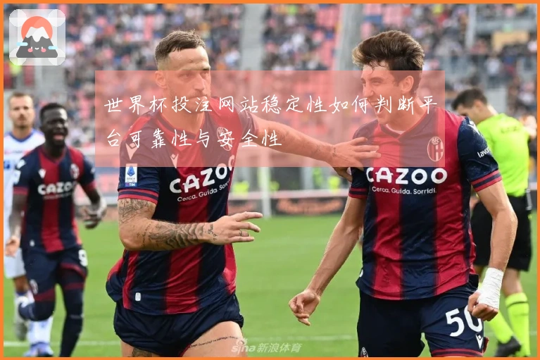 世界杯投注网站稳定性如何判断平台可靠性与安全性