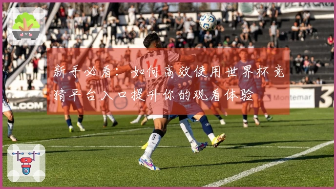 新手必看：如何高效使用世界杯竞猜平台入口提升你的观看体验