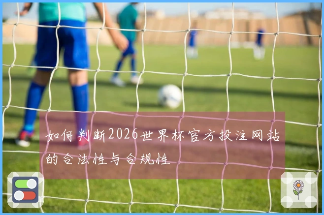 如何判断2026世界杯官方投注网站的合法性与合规性