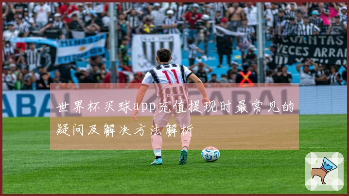 世界杯买球app充值提现时最常见的疑问及解决方法解析