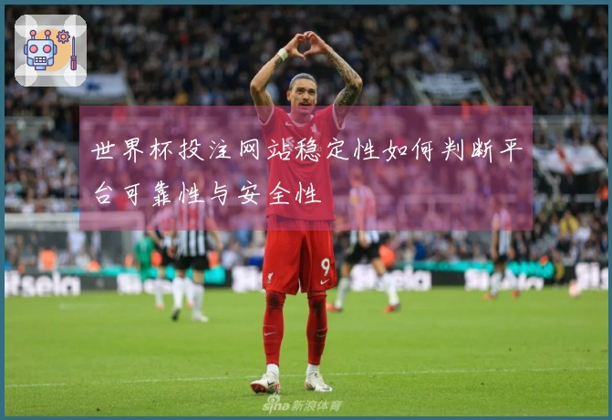 世界杯投注网站稳定性如何判断平台可靠性与安全性