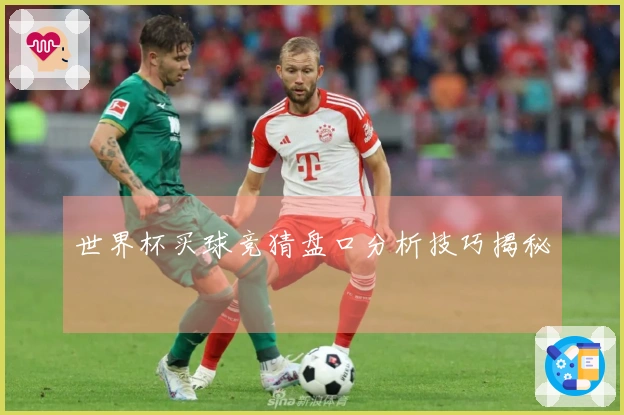 世界杯买球竞猜盘口分析技巧揭秘