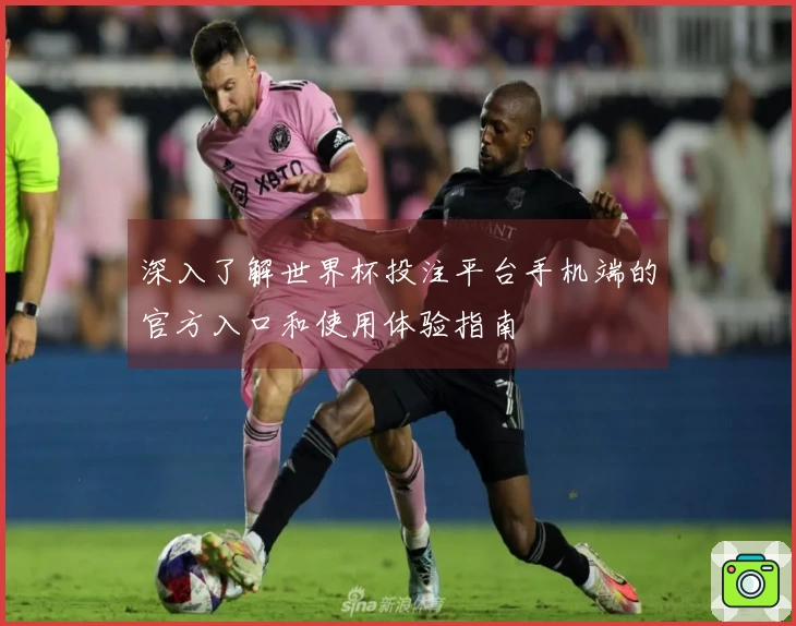 深入了解世界杯投注平台手机端的官方入口和使用体验指南