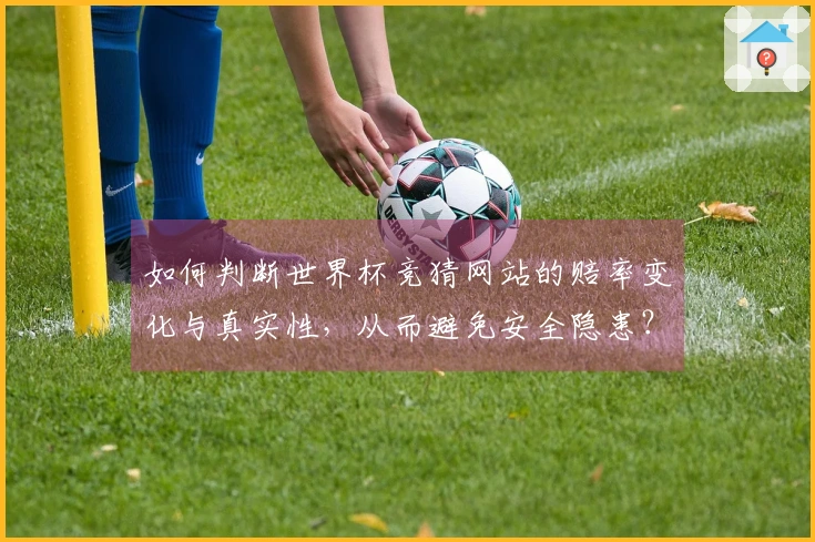如何判断世界杯竞猜网站的赔率变化与真实性，从而避免安全隐患？