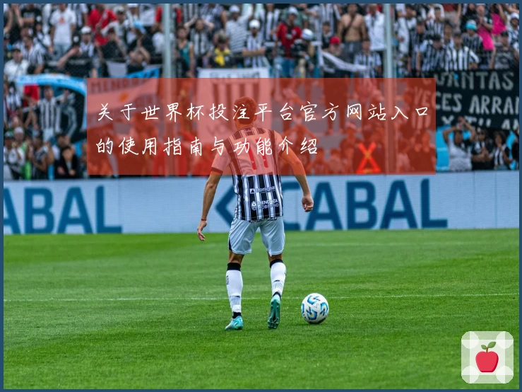 关于世界杯投注平台官方网站入口的使用指南与功能介绍