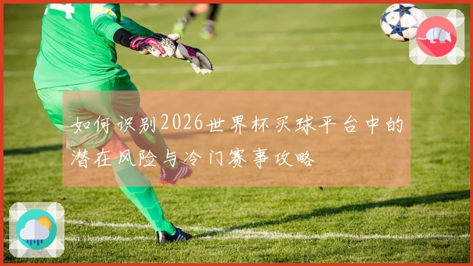 如何识别2026世界杯买球平台中的潜在风险与冷门赛事攻略