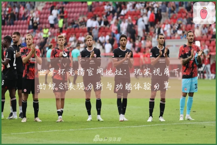 世界杯竞猜官网地址：玩家视角下的综合表现分析与功能体验分享