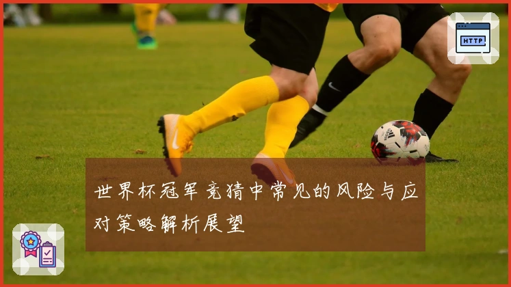 世界杯冠军竞猜中常见的风险与应对策略解析展望