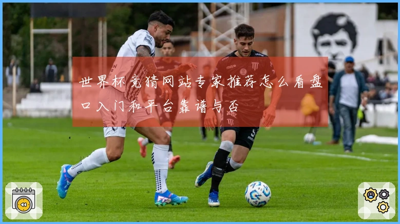 世界杯竞猜网站专家推荐怎么看盘口入门和平台靠谱与否