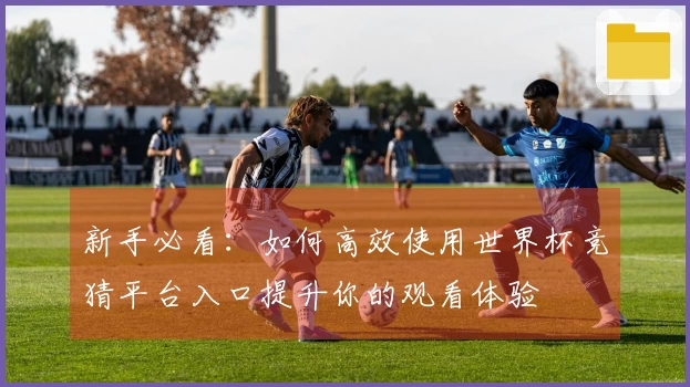 新手必看：如何高效使用世界杯竞猜平台入口提升你的观看体验