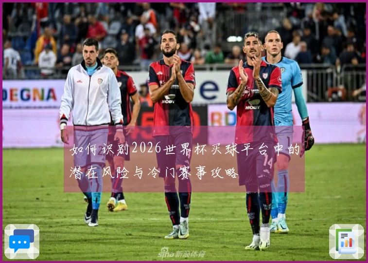 如何识别2026世界杯买球平台中的潜在风险与冷门赛事攻略