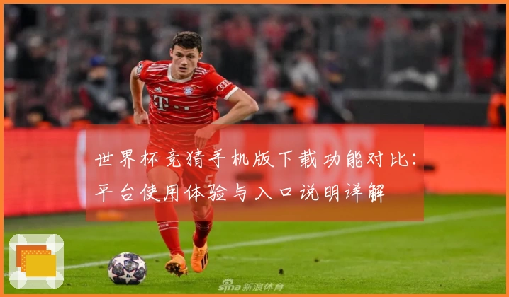 世界杯竞猜手机版下载功能对比：平台使用体验与入口说明详解