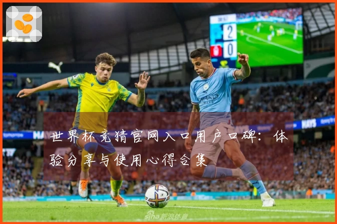 世界杯竞猜官网入口用户口碑：体验分享与使用心得合集