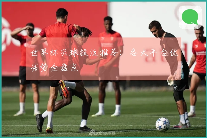 世界杯买球投注推荐：各大平台优劣势全盘点