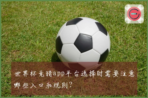 世界杯竞猜app平台选择时需要注意哪些入口和规则？