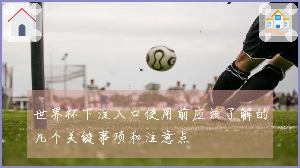 世界杯下注入口使用前应该了解的几个关键事项和注意点