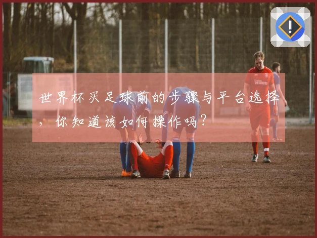 世界杯买足球前的步骤与平台选择，你知道该如何操作吗？